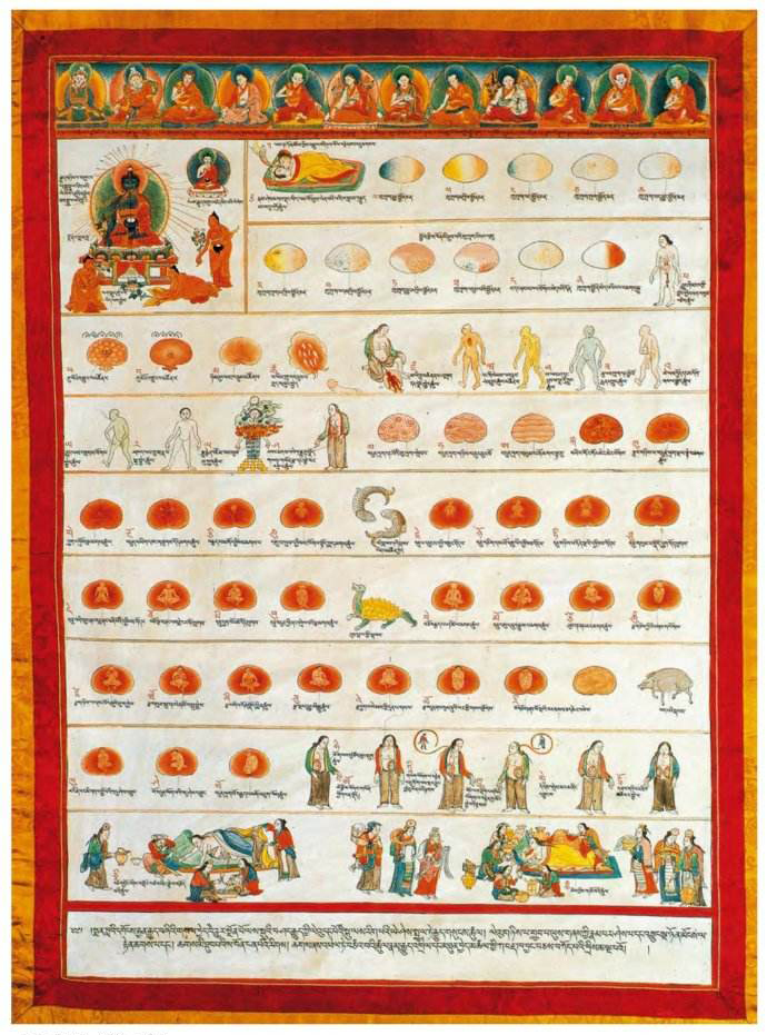 四部医典胚胎发育挂图(公元八世纪藏医对于胚胎发育过程的认识和